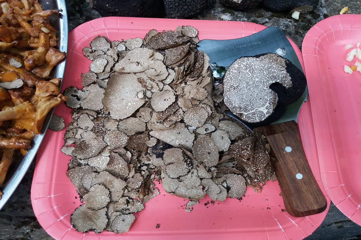 Στο Πήλιο η 6η Πανελλήνια Γιορτή Μανιταριών Τρούφας – Τι περιλαμβάνει το 3ήμερο πρόγραμμα