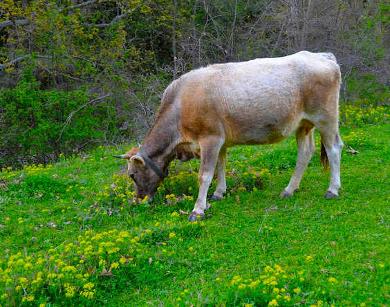 Το μέλλον που (δεν) “καλλιεργούμε”…