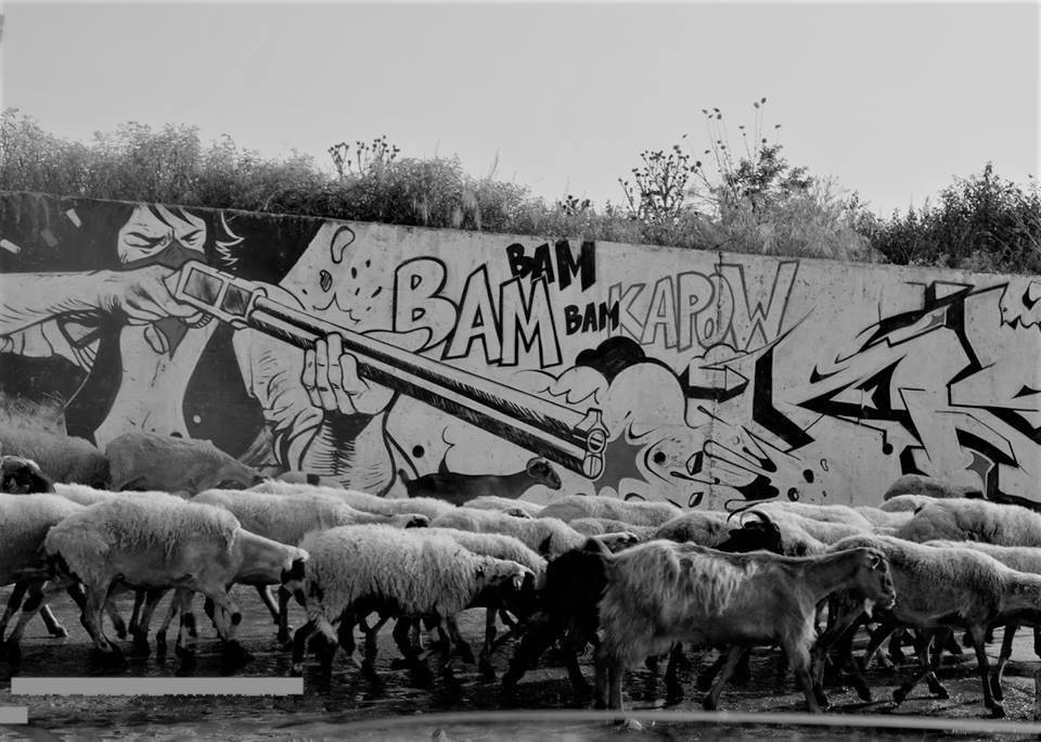 “Όποιος σπέρνει αγκάθια, δεν μαζεύει… σταφύλια”