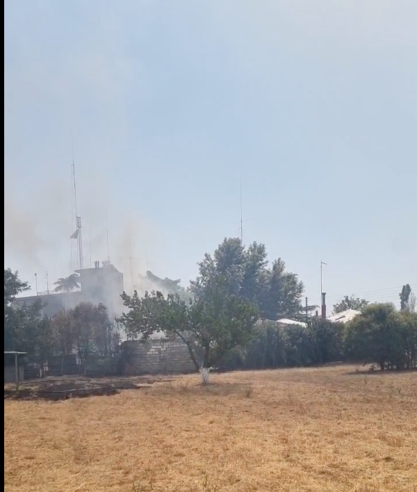 Θεσσαλονίκη: Φωτιά σε θερμοκήπιο στον Λαγκάδα (VIDEO)