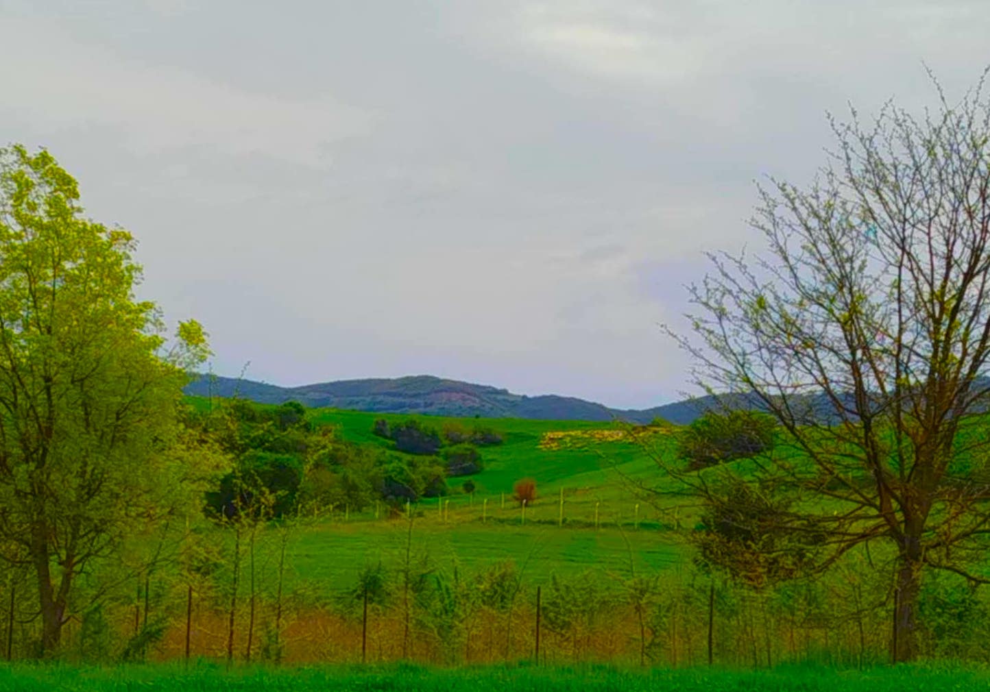 Τα πέντε καμπανάκια της EUROSTAT για την ελληνική πραγματικότητα