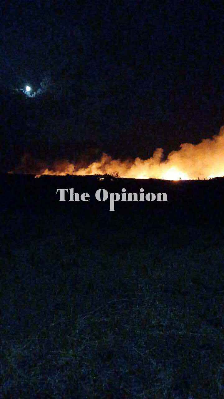 Συναγερμός στη Θάσο: Τέσσερις εστίες πυρκαγιάς από κεραυνούς – Επιχειρούν ισχυρές δυνάμεις (ΦΩΤΟ+VIDEO)