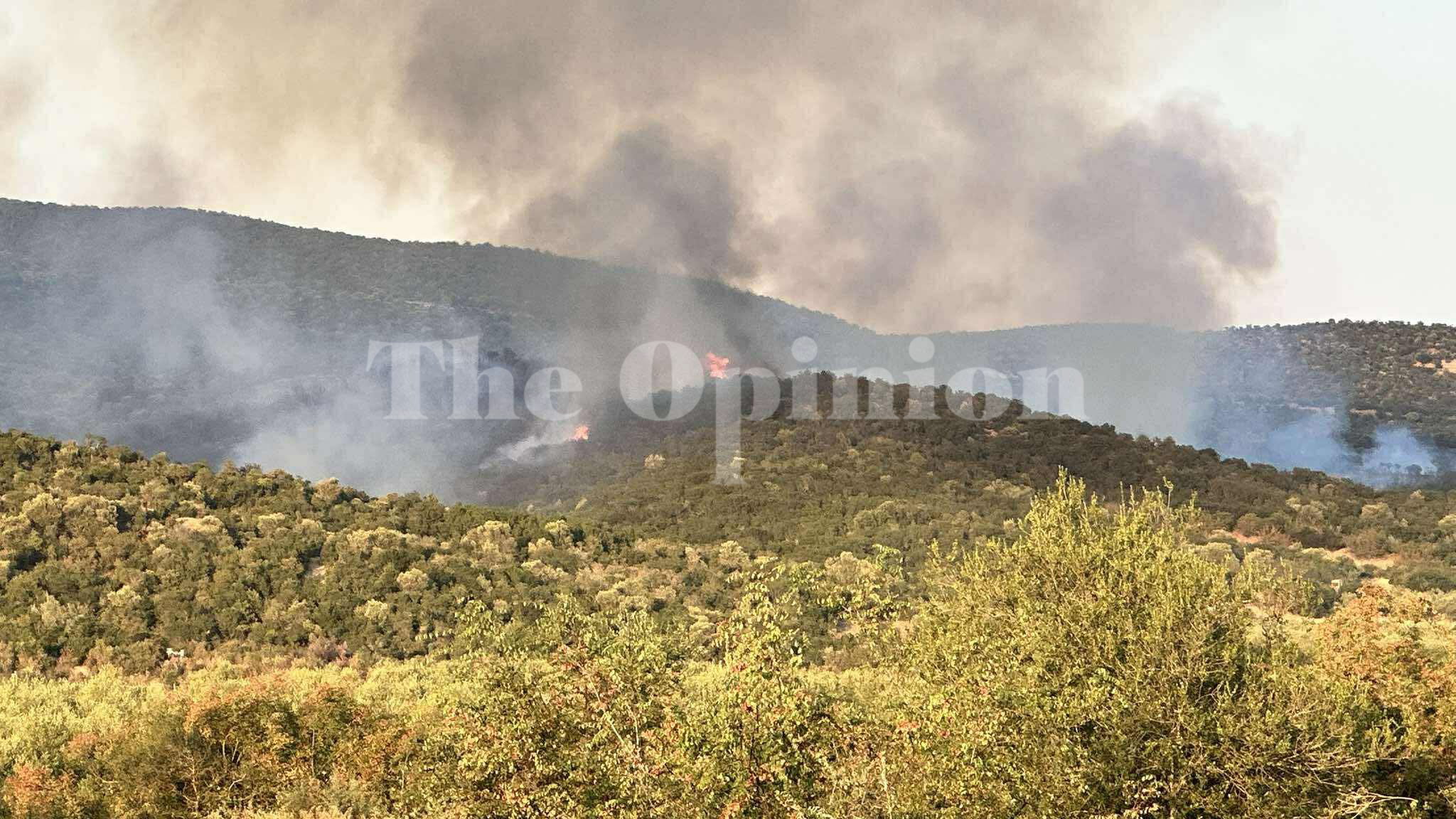 Θεσσαλονίκη: Χωρίς ενεργό μέτωπο η φωτιά στη Βόλβη