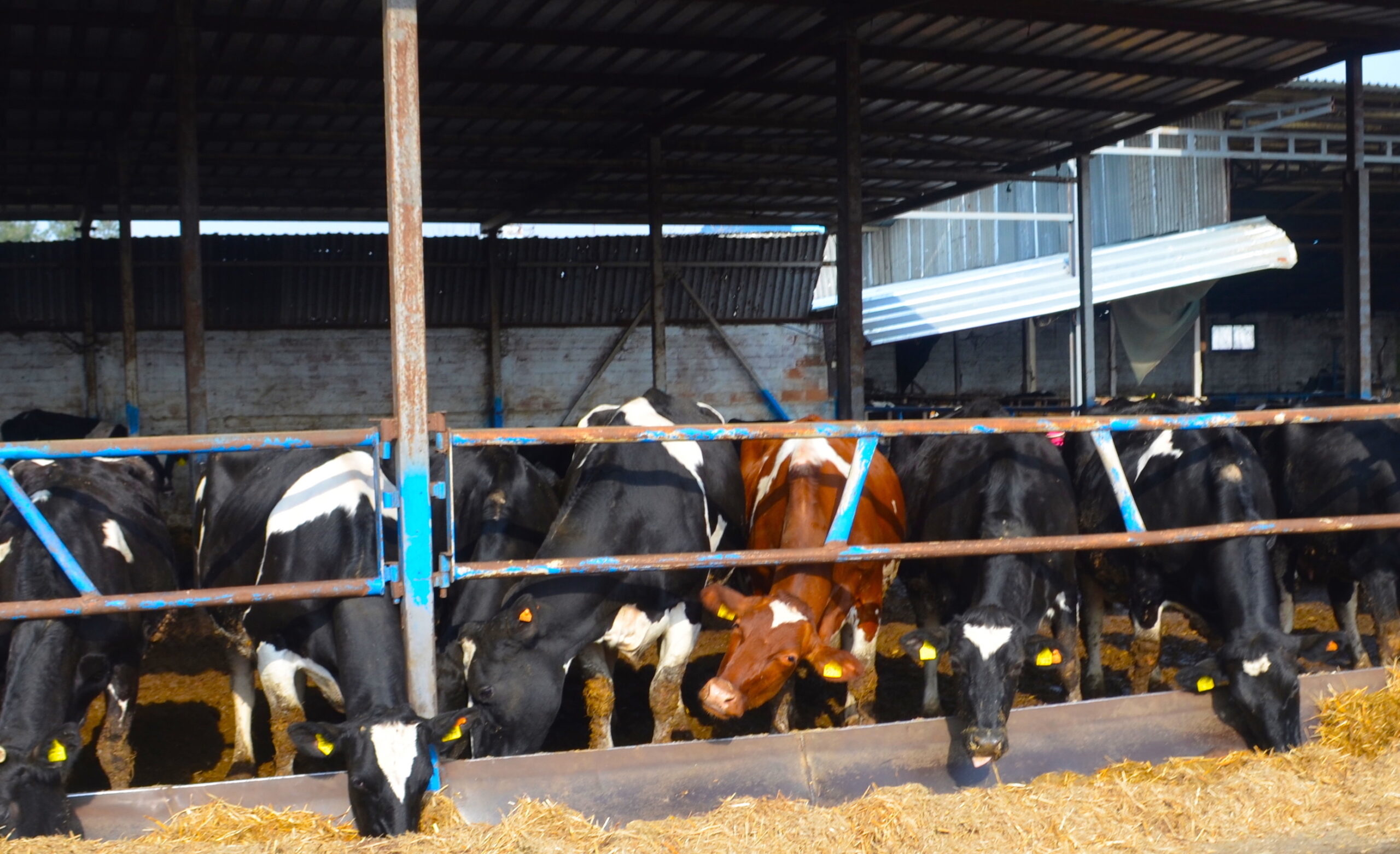 «Άλλοι σπέρνουν με κόπο… άλλοι θερίζουν με χαρά»