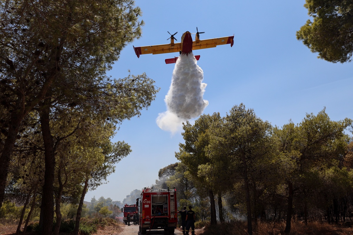 Δράμα: Φωτιά σε δασική έκταση στο Παρανέστι – Επιχειρούν 4 εναέρια μέσα