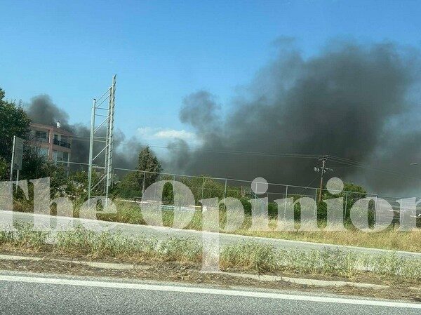 Θεσσαλονίκη: Κατεσβέσθη η φωτιά σε συνεργείο στα Λαγυνά – Τι λέει η Πυροσβεστική (ΦΩΤΟ)