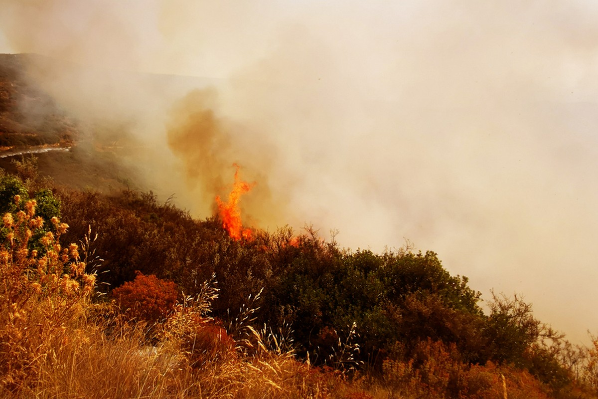 Σε τρία μέτωπα ταυτόχρονα ξέσπασε η φωτιά στην Κεφαλονιά – Εναέρια μέσα και στην Αργολίδα