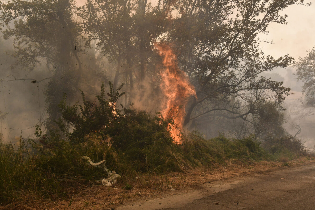 Θεσσαλονίκη: Υπό μερικό έλεγχο η φωτιά στο Εξαμίλι