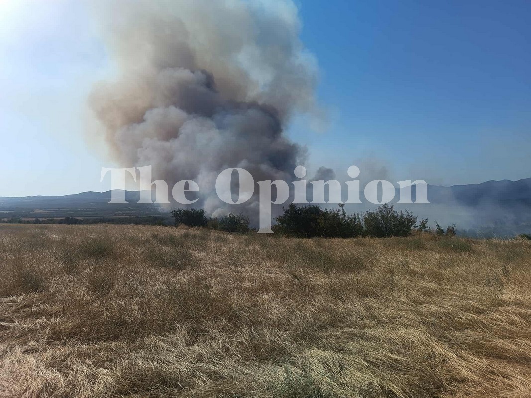 Βόλβη Θεσσαλονίκης: Υπό έλεγχο η πυρκαγιά, χωρίς ενεργό μέτωπο (ΦΩΤΟ+VIDEO)