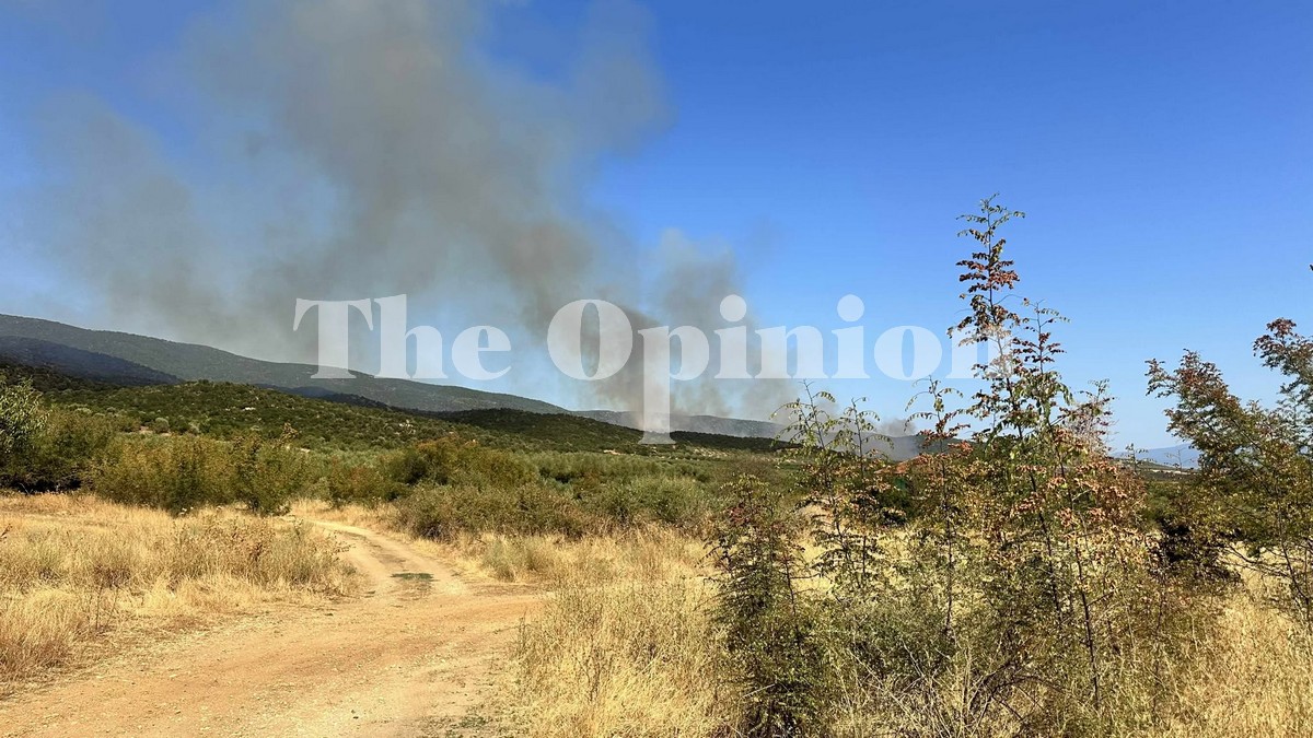 Πολύ υψηλός κίνδυνος πυρκαγιάς και αύριο στη Χαλκιδική – «Συναγερμός» και για τη Θεσσαλονίκη