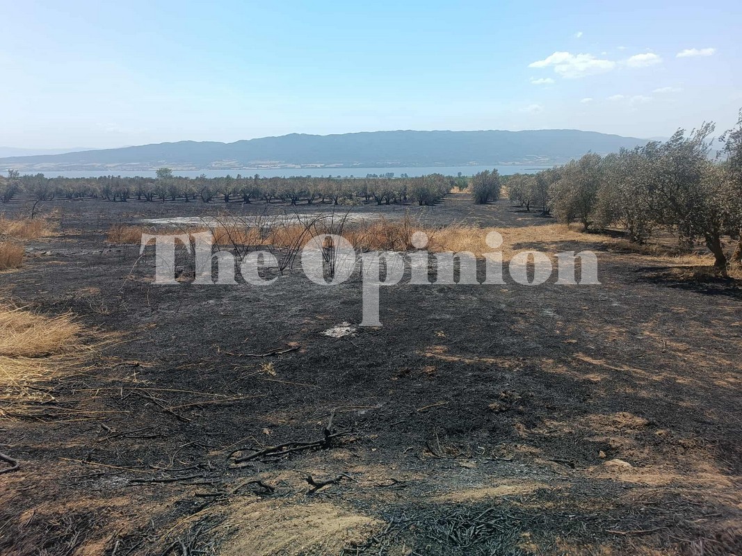 Συνεχίζουν τις ρίψεις τα εναέρια στη Βόλβη – Μάχη για τον πλήρη έλεγχο της πυρκαγιάς (ΦΩΤΟ+VIDEO)