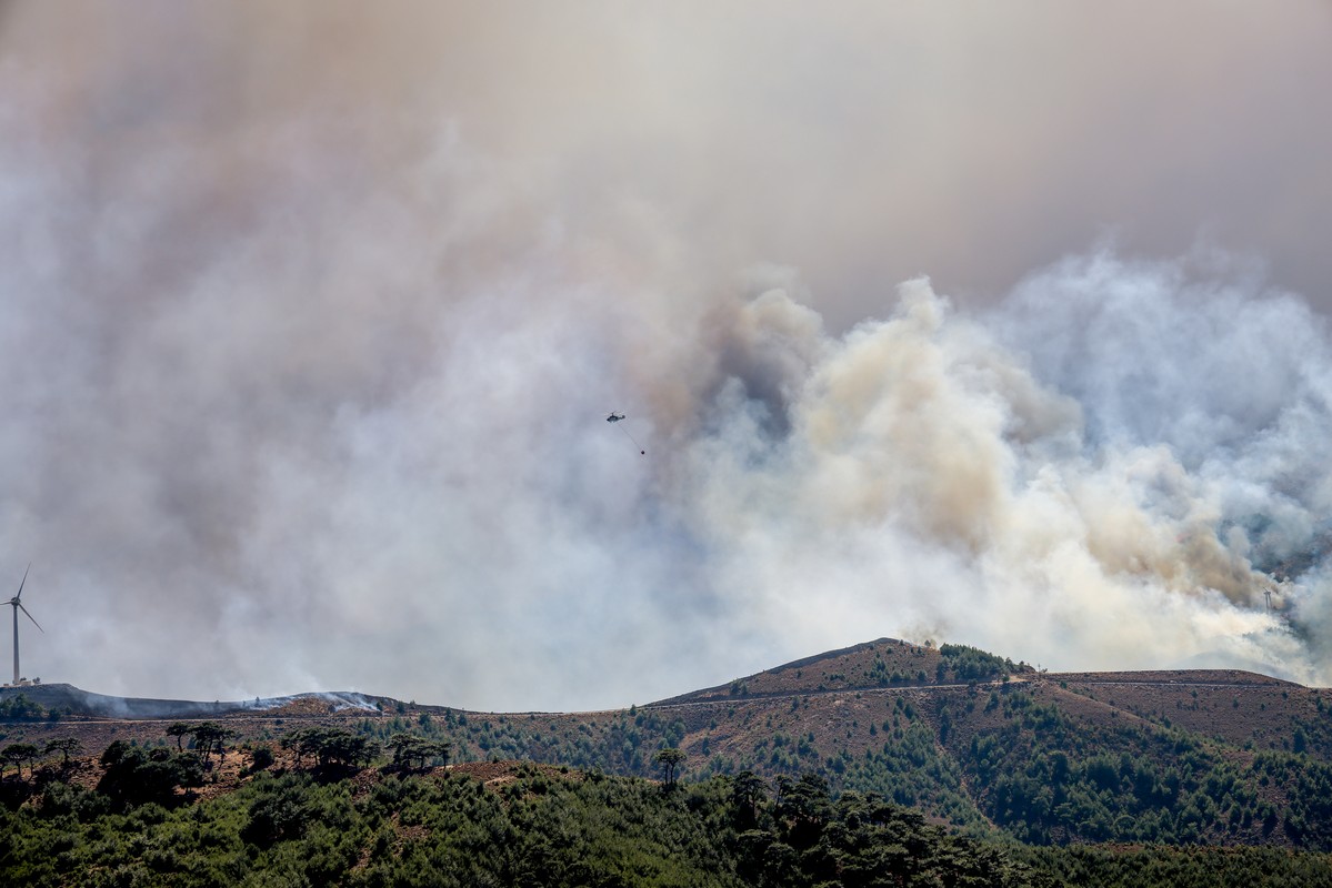Περισσότερα από 8 εκατ. ευρώ οι αποζημιώσεις των ασφαλιστικών για τις δασικές πυρκαγιές το καλοκαίρι του 2025