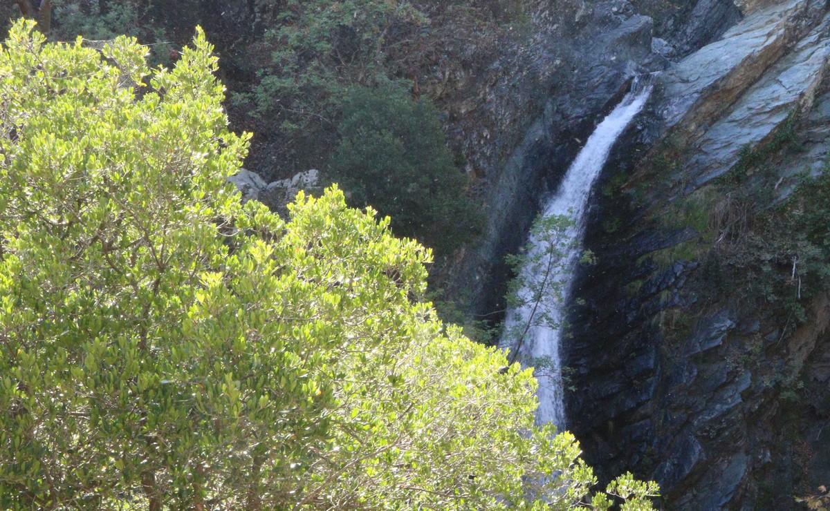 Αλεξανδρούπολη: Εκτός κινδύνου νοσηλεύεται η 21χρονη που τραυματίστηκε στα Θέρμα Σαμοθράκης