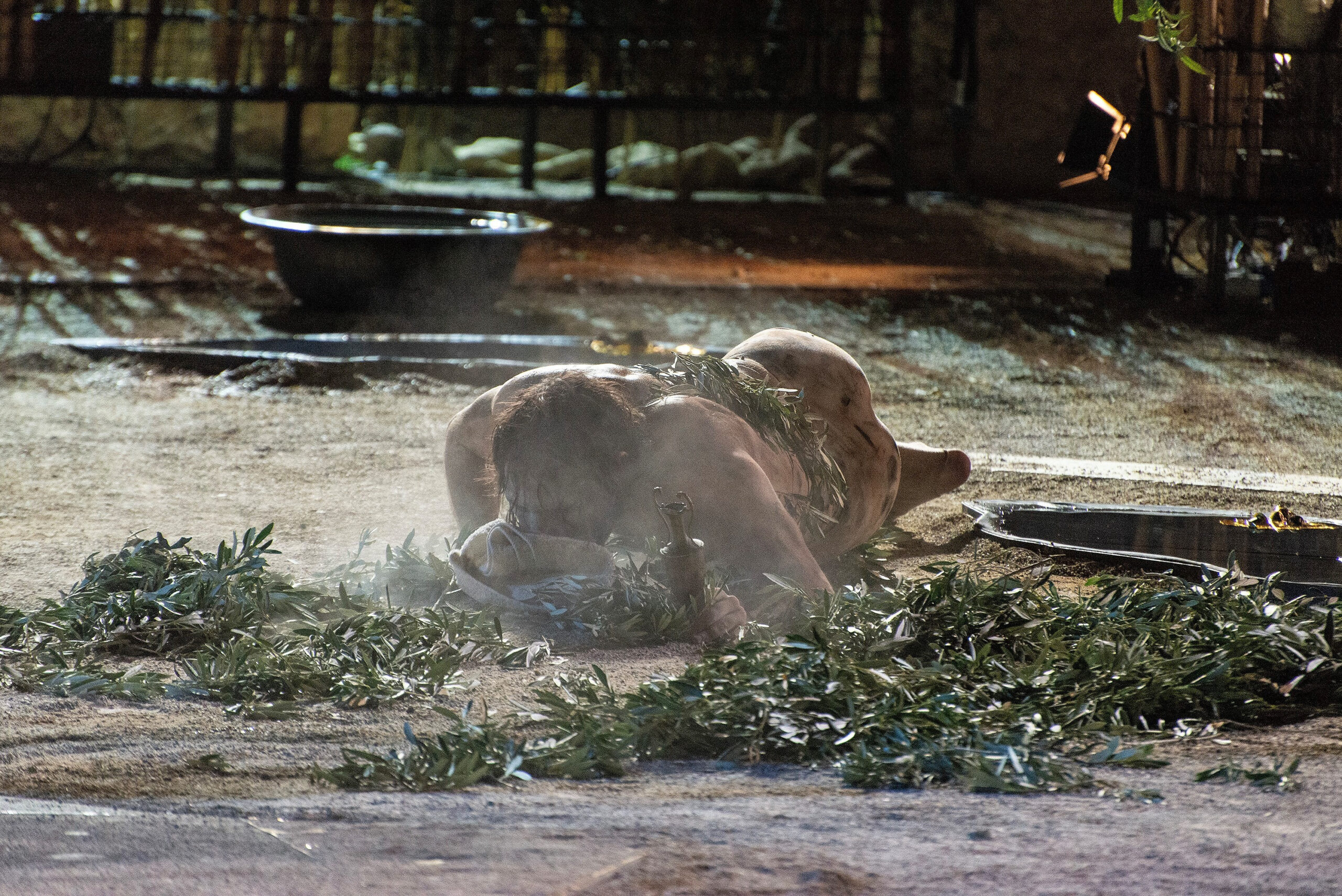 ΚΘΒΕ: Παραστάσεις και το πρόγραμμα του Φεστιβάλ Δάσους για τον Αύγουστο 