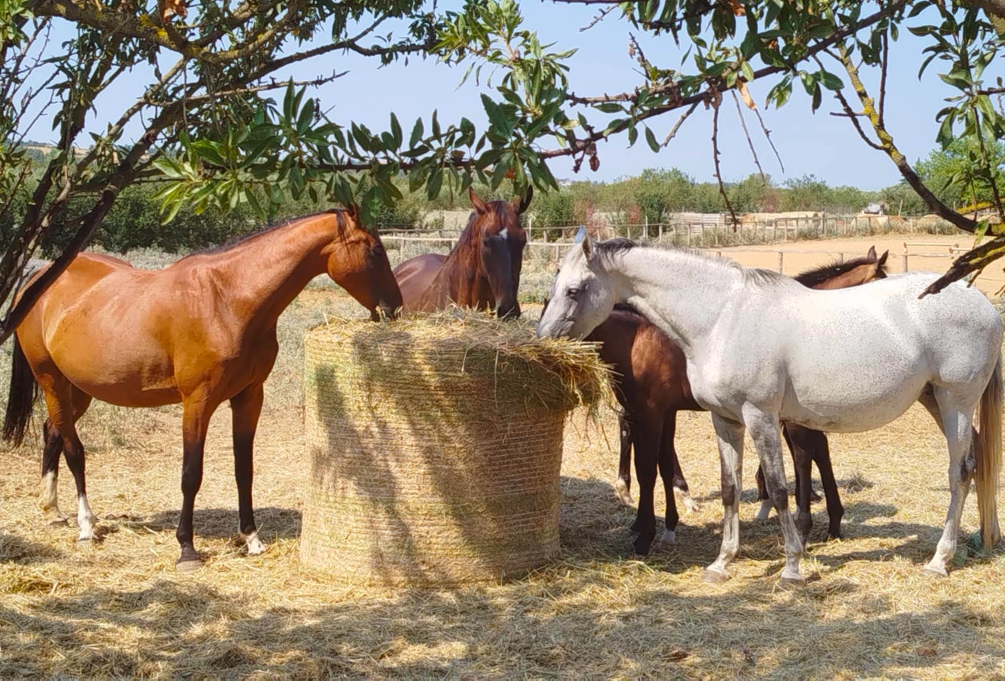ΟΠΕΚΕΠΕ: “Φέρε πίσω τα λεφτά…”