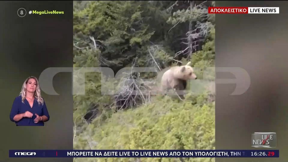 Δράμα: Συγκλονίζει το βίντεο 61χρονου ορειβάτη που τον σκότωσε αρκούδα (VIDEO)