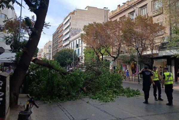 Θεσσαλονίκη: Κλαδί δέντρου έπεσε στην Τσιμισκή (ΦΩΤΟ)