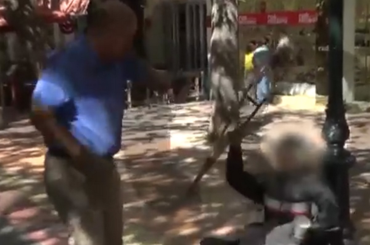 Ρομά που παρίστανε την ανάπηρη σηκώθηκε και χτύπησε δημοσιογράφο (VIDEO)