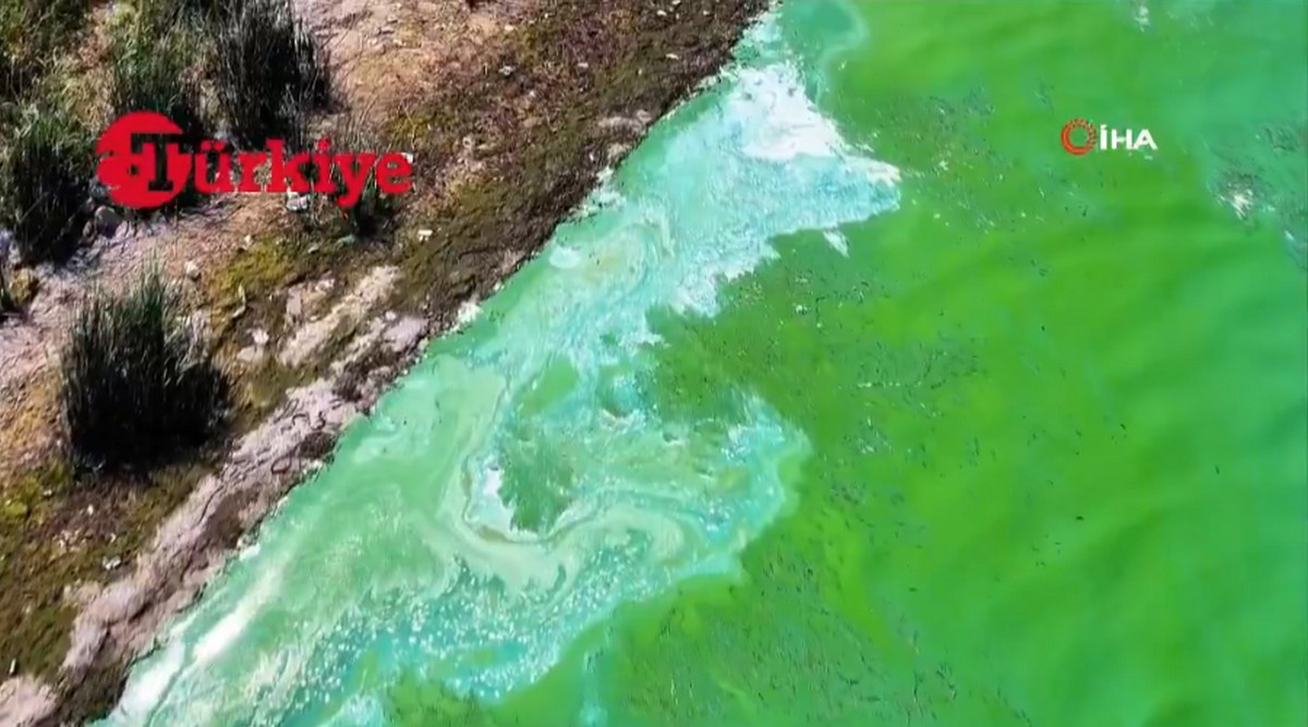 Τουρκία: Η μεγαλύτερη πηγή πόσιμου νερού της Κωνσταντινούπολης πρασίνισε (VIDEO)