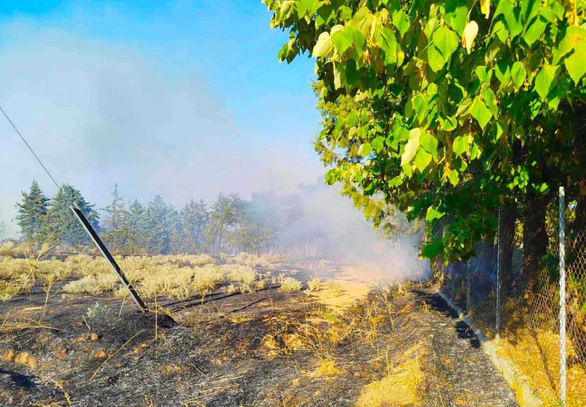 Ψηφοφορία της ΕΕ για το μέλλον της γεωργίας και την αλλαγή… ρότας