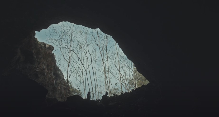 “Συμμαχία για την Άγρια Ζωή”: Το κάλεσμα 11 οργανώσεων για την ευημερία της άγριας ζωής και του ανθρώπου (VIDEO)