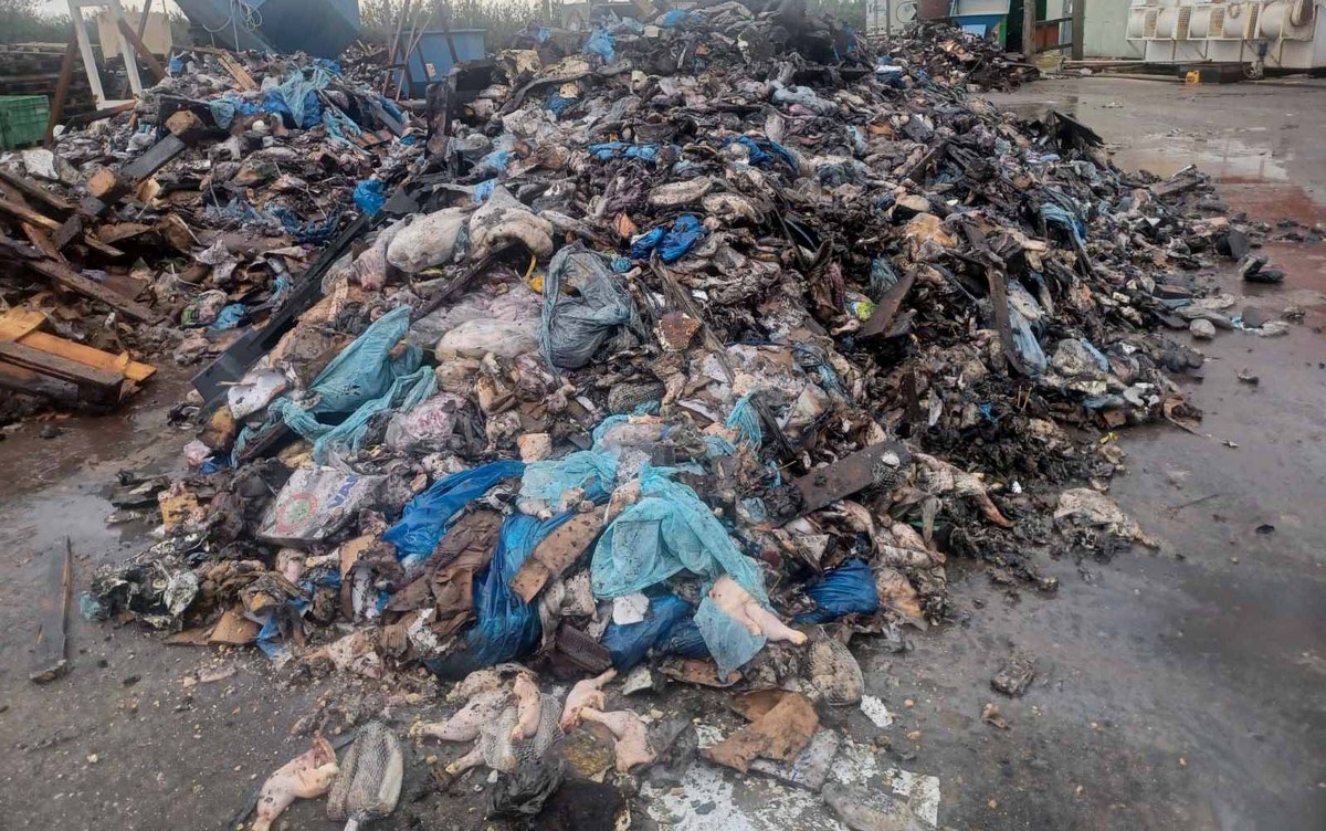 Θεσσαλονίκη: Συνελήφθησαν 3 και ταυτοποιήθηκαν ακόμη 12 για περιβαλλοντική ρύπανση – Πώς δρούσαν (ΦΩΤΟ)