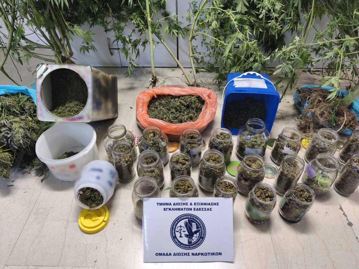 Είχε μετατρέψει την αυλή της οικίας του σε… φυτώριο ναρκωτικών (ΦΩΤΟ)