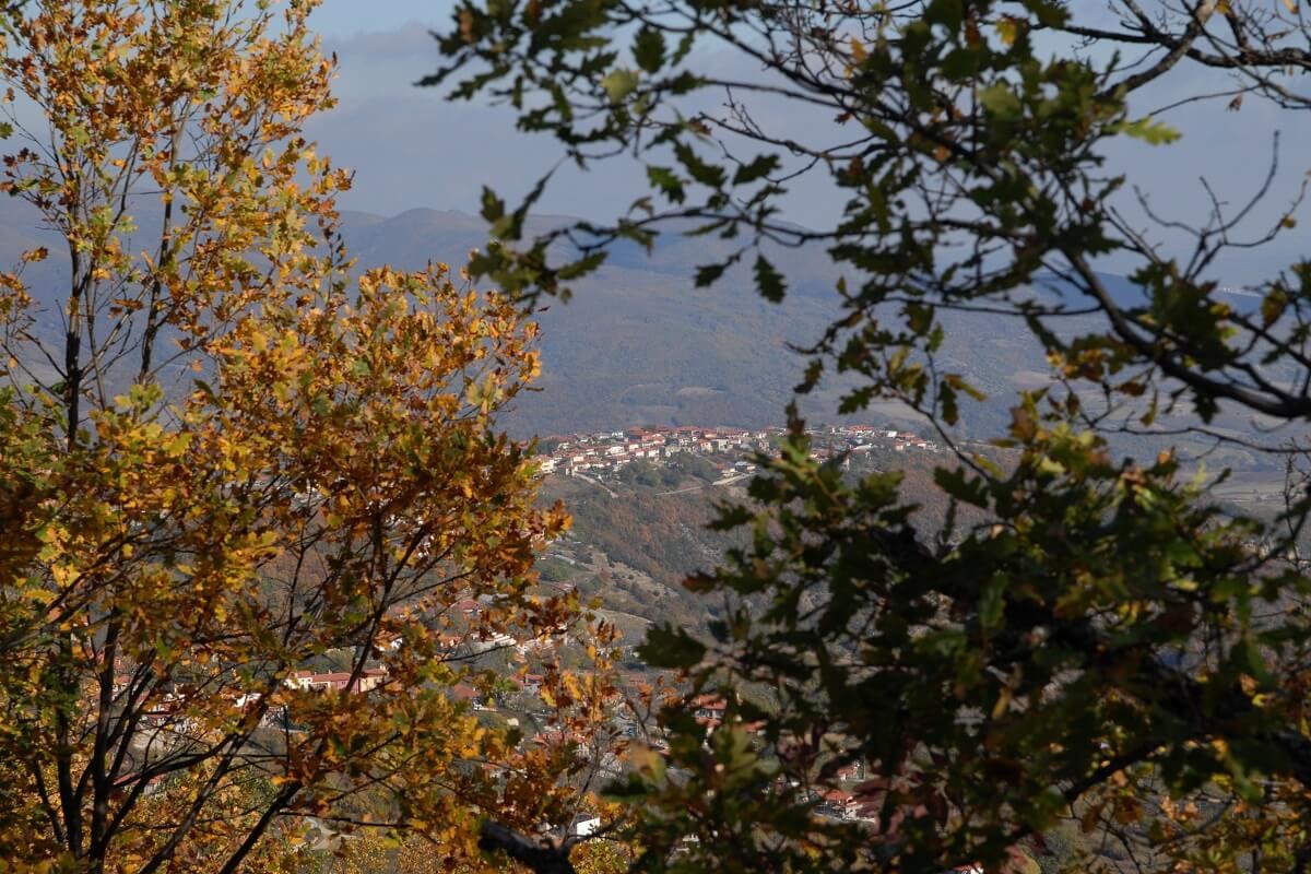 Ελατοχώρι: Πεζοπορίες, συλλογή μανιταριών και μανιταρομαγειρέματα