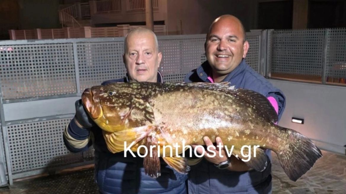 Κορινθιακός: Ψαράδες έβγαλαν ροφό-γίγα 20 κιλών