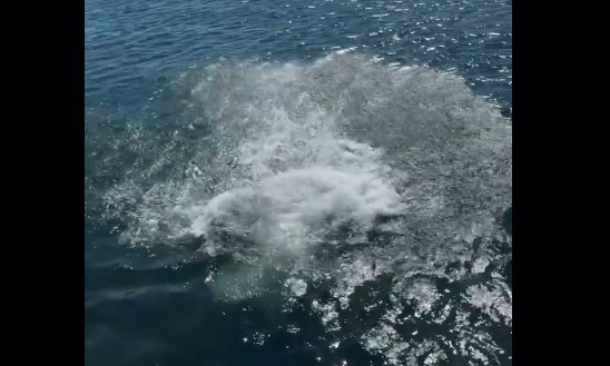 Θεσσαλονίκη: Νεαρός πήρε… φόρα και βούτηξε στον Θερμαϊκό (VIDEO)