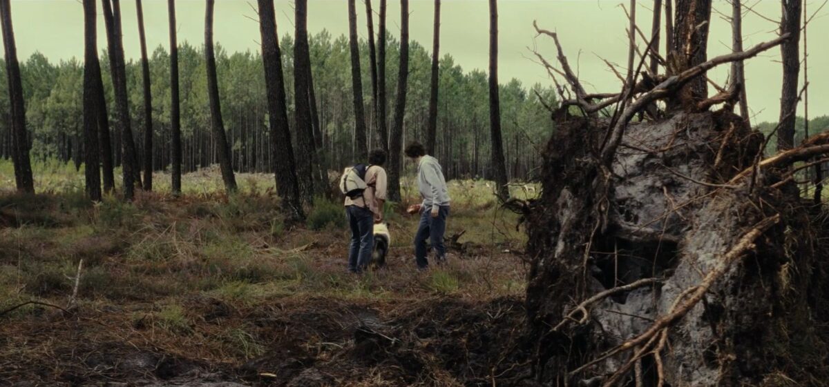 «The Animal Kingdom»: Όταν η φύση «ξαναγράφει» τον άνθρωπο (VIDEO)