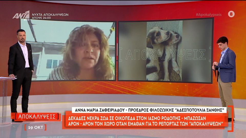 Κομοτηνή: Ερευνώνται τα αίτια για νεκρά ζώα που εντοπίστηκαν στον Ίασμο