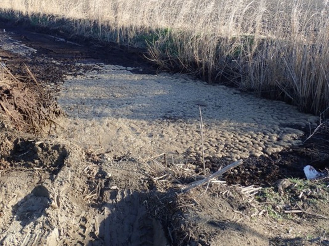 Πρόεδρος εταιρείας τροφίμων πετούσε υγρά βιομηχανικών αποβλήτων κοντά στο Εθνικό Πάρκο Δέλτα Αξιού (ΦΩΤΟ)