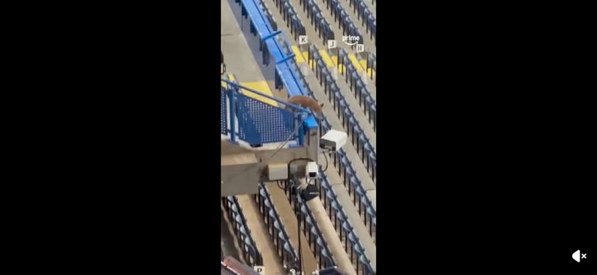 Ένας… απρόσκλητος επισκέπτης στο γήπεδο πριν από το Τσέλσι-Μπαρτσελόνα (VIDEO)