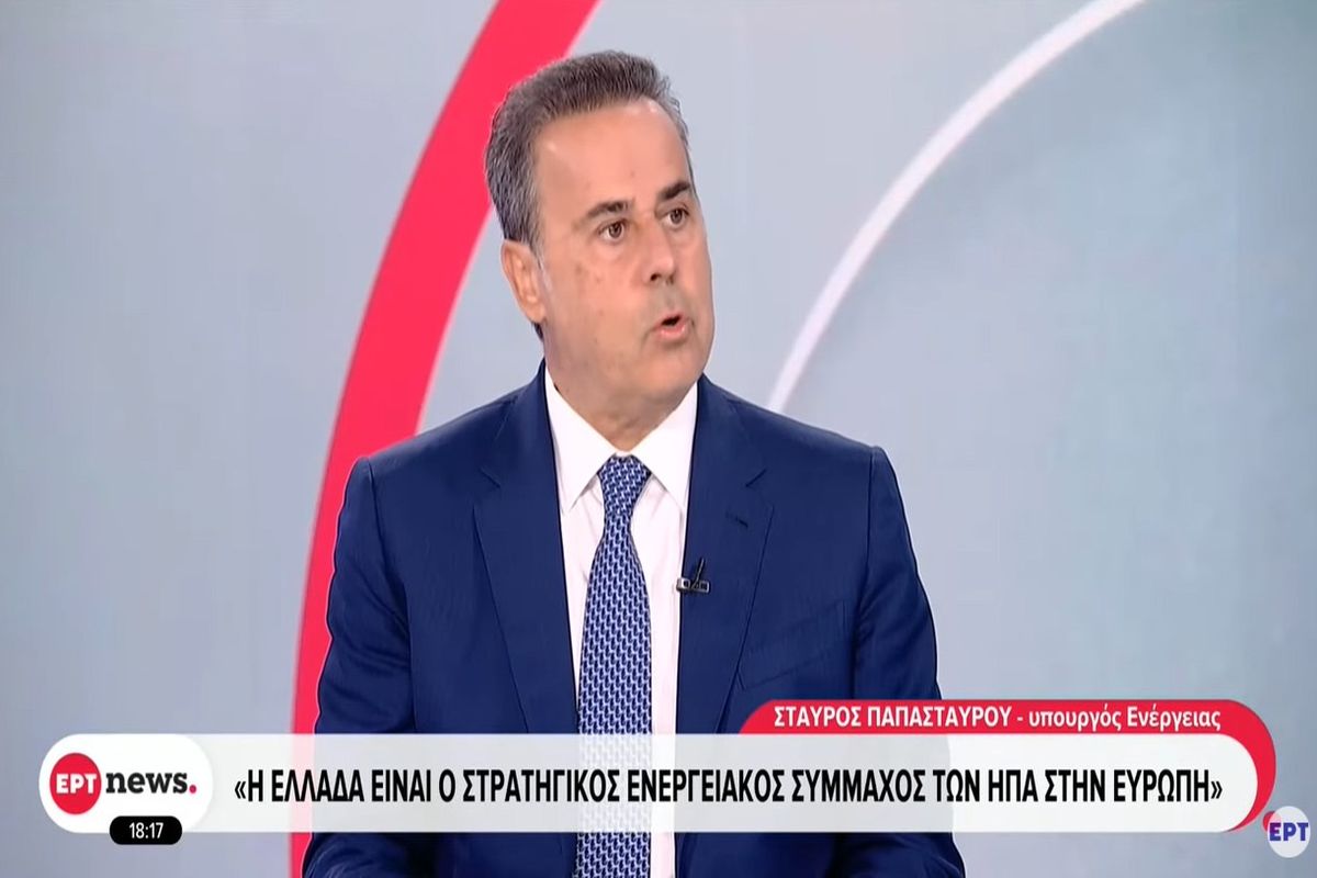 Παπασταύρου: Για κάποιους ήμασταν ο «δεδομένος» σύμμαχος, αλλά εξελιχθήκαμε σε σταθερό, αξιόπιστο και, τελικά, αποτελεσματικό σύμμαχο των ΗΠΑ
