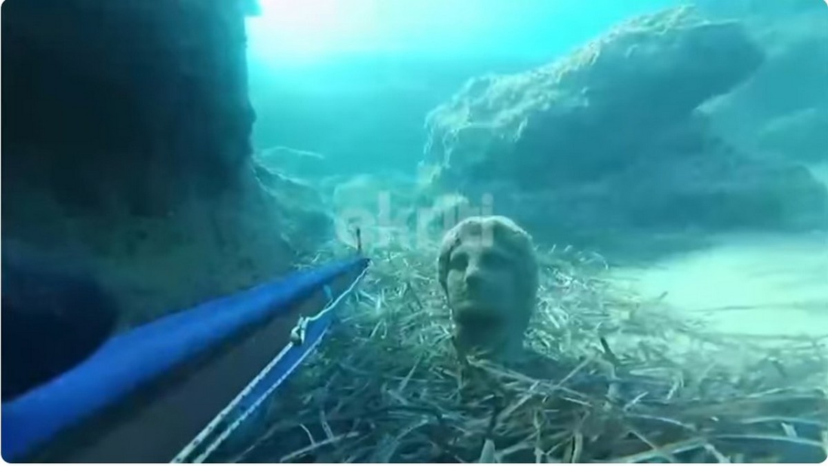 Κρήτη: Ψαροντουφεκάς εντόπισε άγαλμα στο βυθό της θάλασσας (VIDEO)