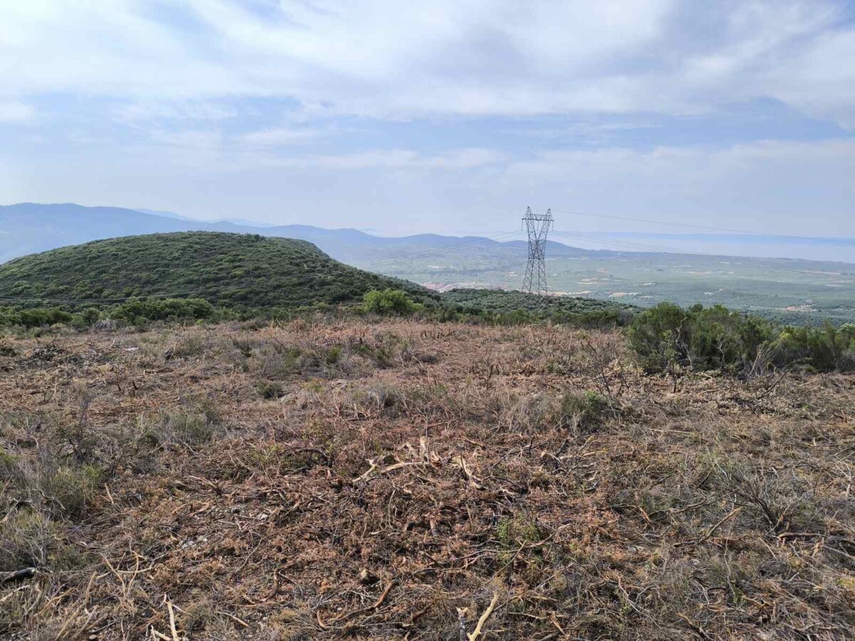 Το ΣτΕ απέρριψε την αίτηση αναστολής για το αιολικό πάρκο στην Ορμύλια, Χαλκιδικής