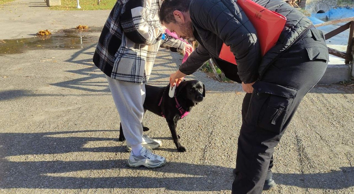 Θεσσαλονίκη: Συνεχίζονται οι έλεγχοι στους ιδιοκτήτες ζώων – Κόπηκαν 17 πρόστιμα τον Οκτώβριο (ΦΩΤΟ)