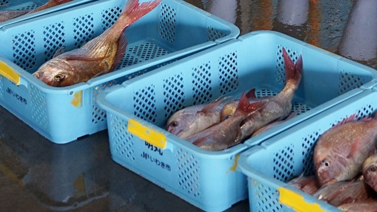 Η Κίνα αναστέλλει τις εισαγωγές θαλασσινών από την Ιαπωνία