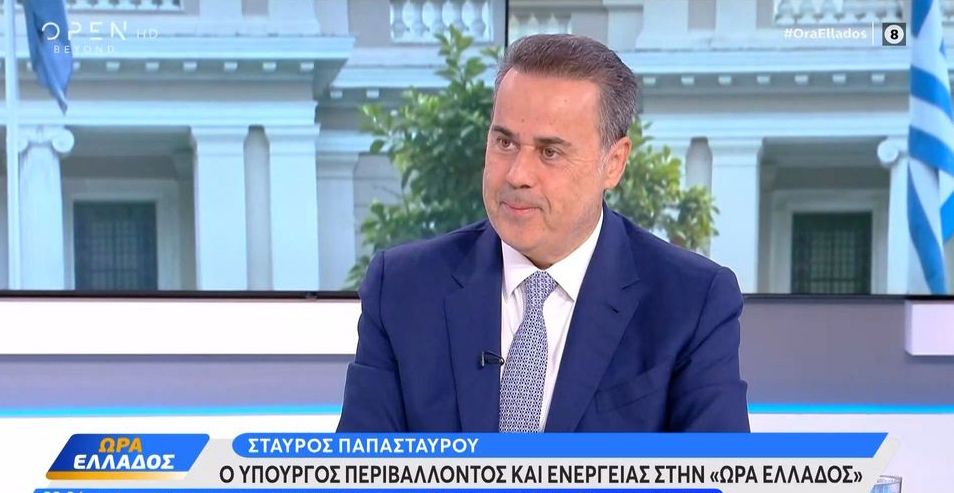 Στ. Παπασταύρου: Αμερικανικό επενδυτικό ενδιαφέρον για το καλώδιο Ελλάδας-Κύπρου (VIDEO)