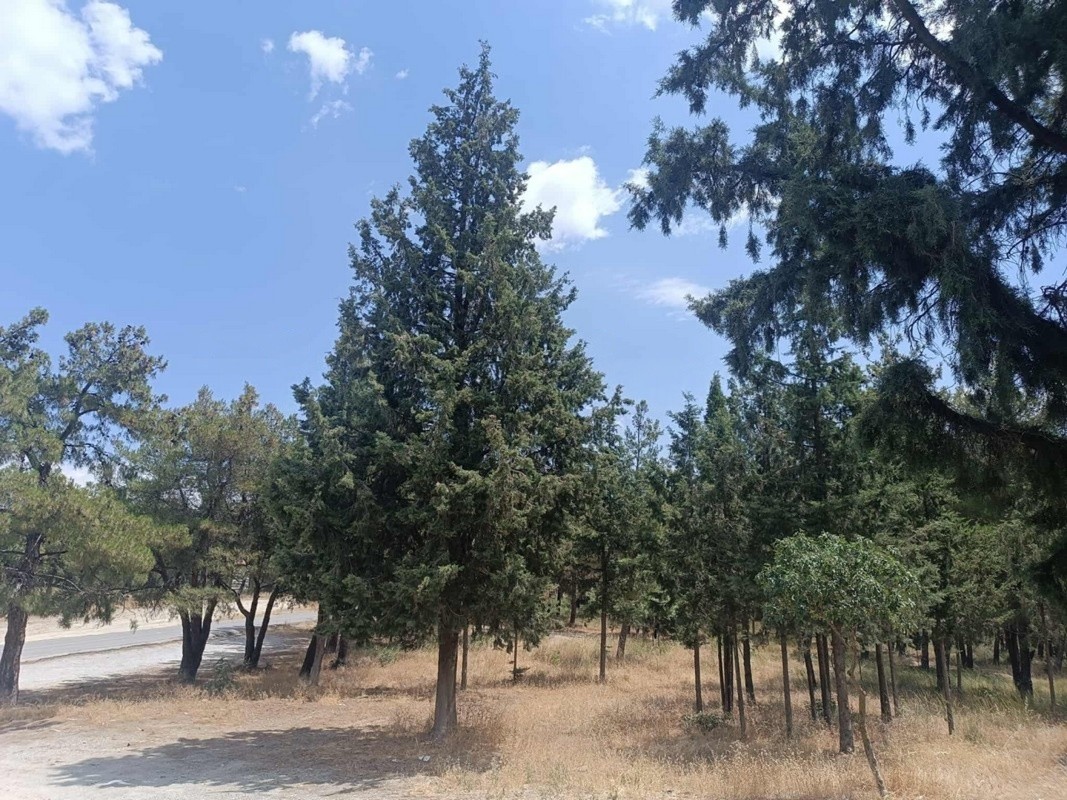 Συναγερμός στη Θεσσαλονίκη – Εντοπίστηκε βλήμα του Β’ Παγκοσμίου Πολέμου στο Σέιχ Σου