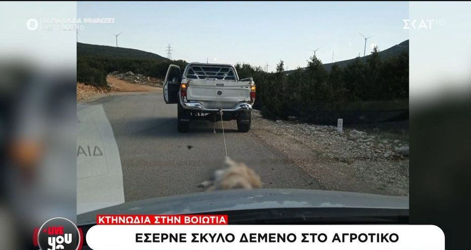 Αδιανόητη κτηνωδία: Αγροτικό έσερνε σκύλο δεμένο στον προφυλακτήρα (VIDEO)