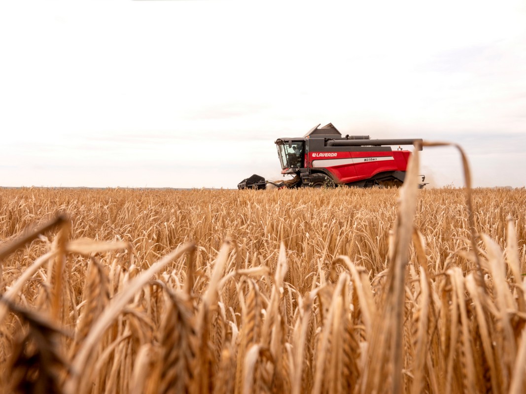Ζυθοποιία Μακεδονίας Θράκης: Συνεχίζεται το πρόγραμμα συμβολαιακής καλλιέργειας