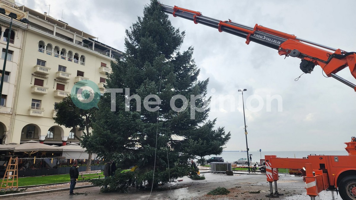 Υπό βροχή ο στολισμός του Χριστουγεννιάτικου δέντρου στην πλατεία Αριστοτέλους (ΦΩΤΟ)