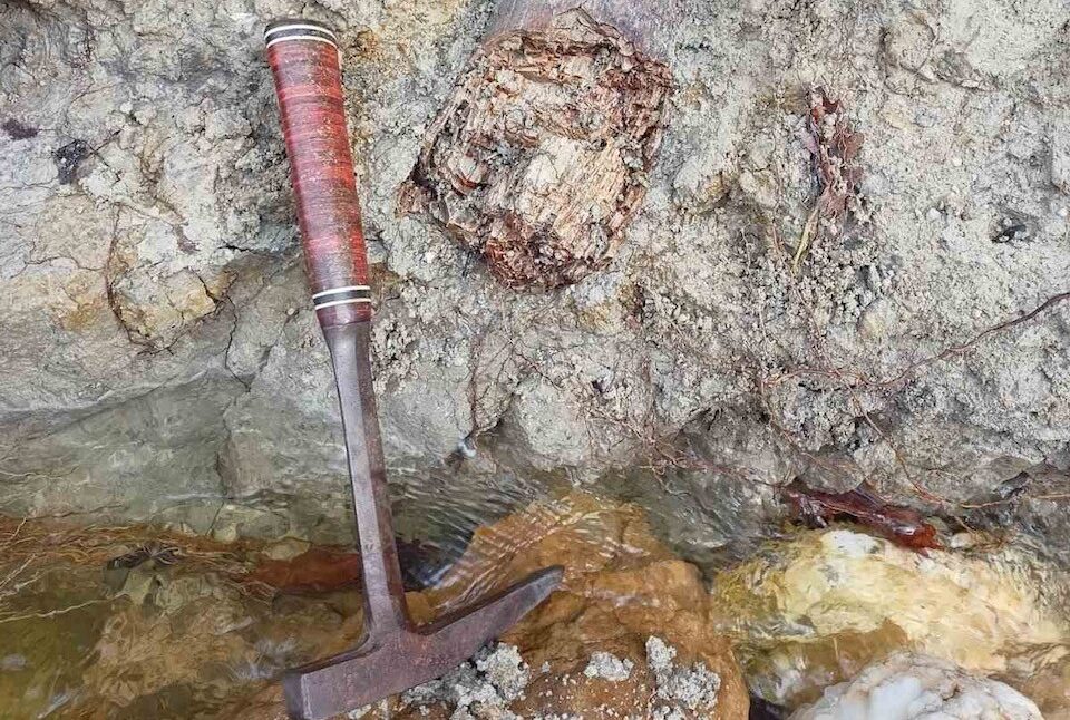 Θεσσαλονίκη: Εντοπίστηκε απολιθωμένος χαυλιόδοντας από Μαμούθ του Νότου (ΦΩΤΟ)