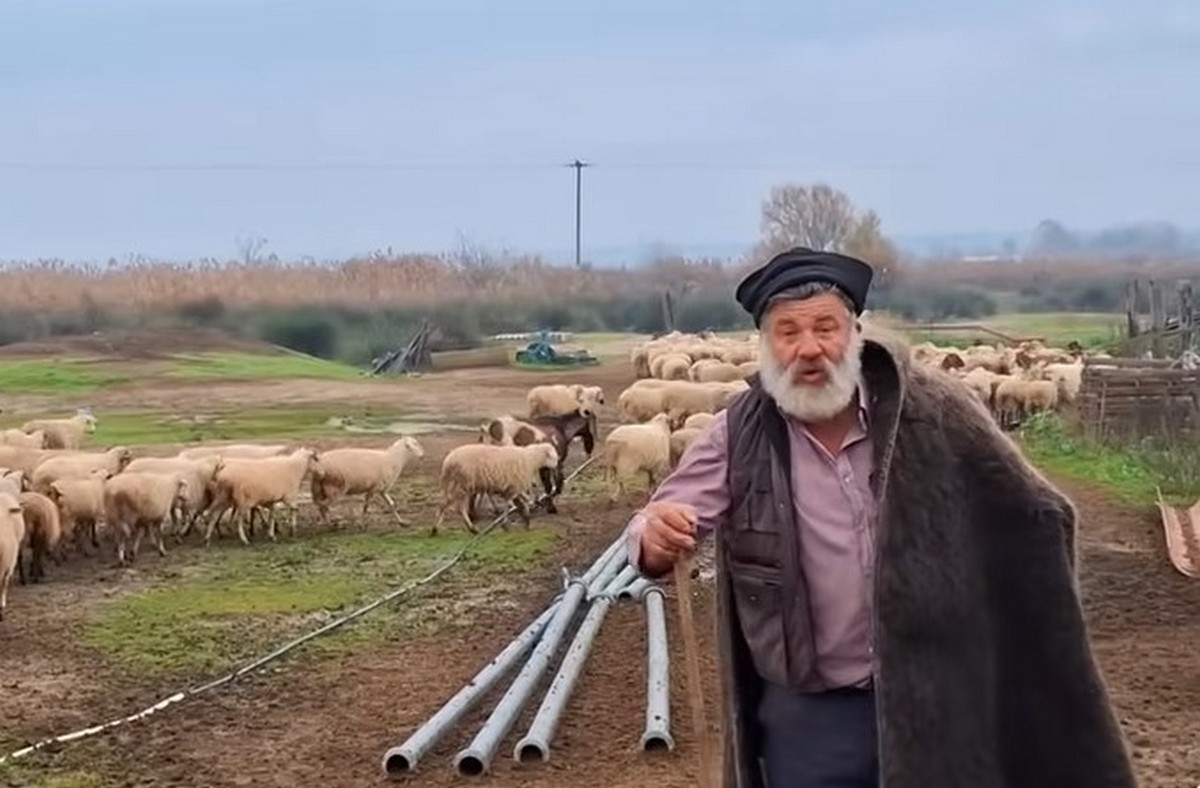 Θεσσαλονίκη: Κατέρρευσε ο κτηνοτρόφος που αποχαιρέτησε με δάκρυα τα 450 πρόβατά του – Νοσηλεύεται με συμπτώματα εγκεφαλικού (VIDEO)