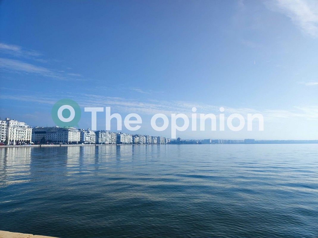 Δελφίνια “βγήκαν στη στεριά” στον Θερμαϊκό (VIDEO)