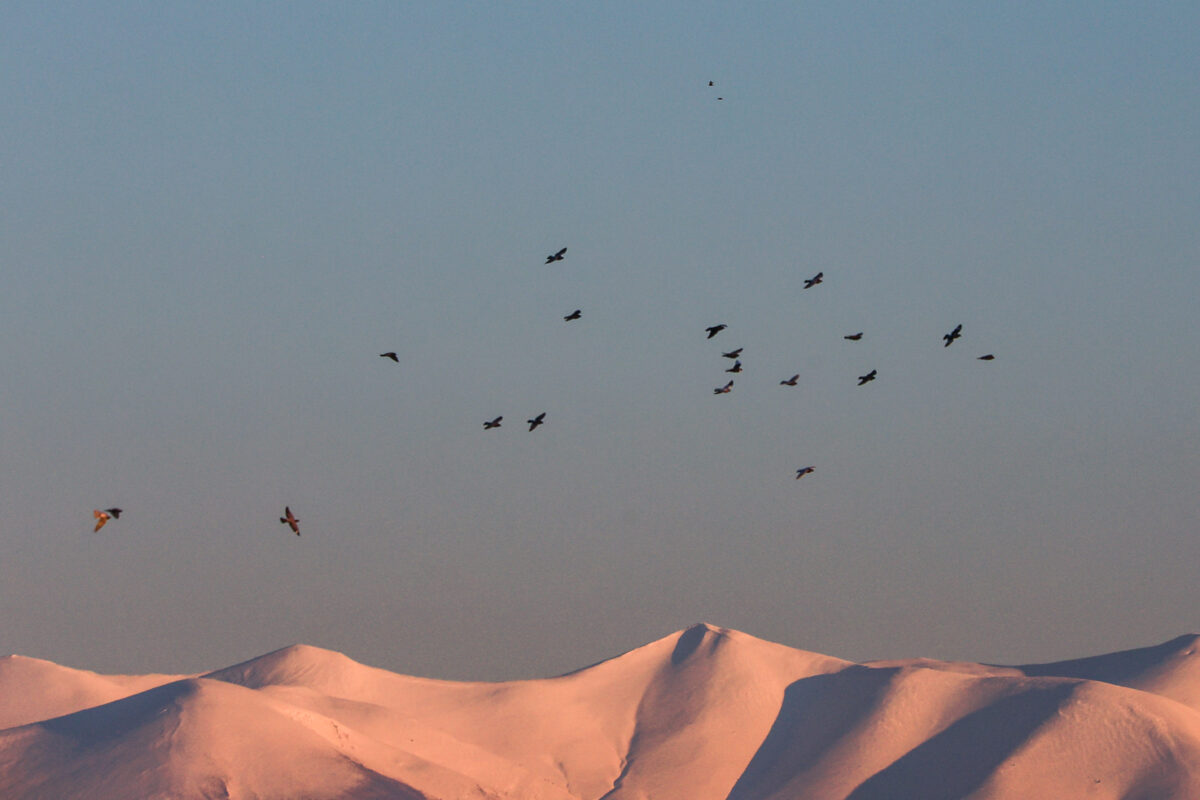 Μαγευτικές εικόνες από τον χιονισμένο Όλυμπο