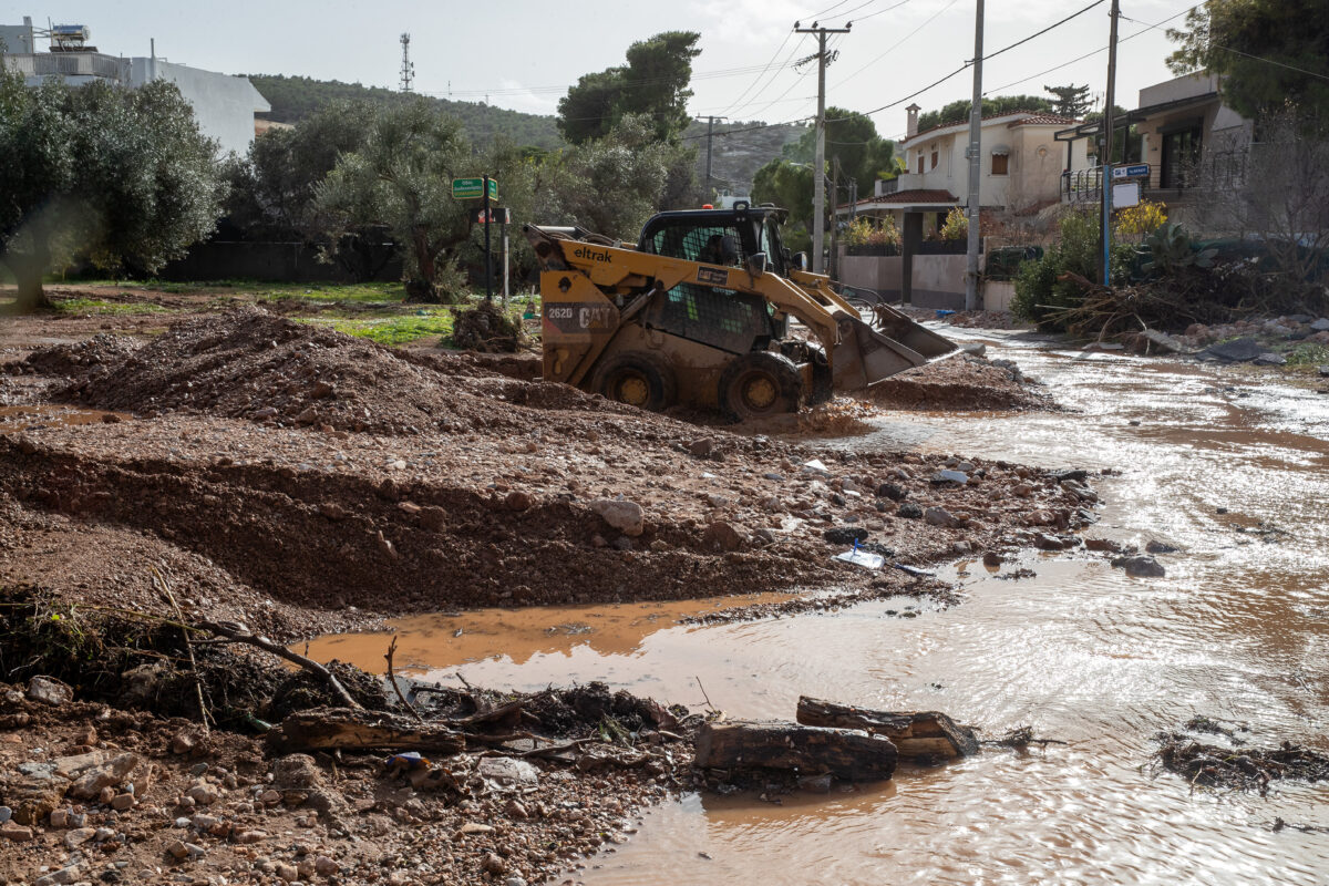 Η φύση δεν ξύπνησε ξαφνικά, εμείς… κοιμόμαστε ακόμη