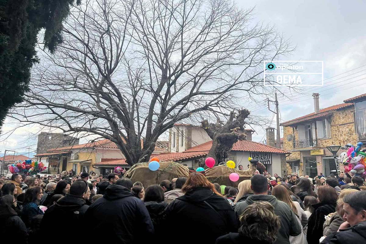 Στη Γαλάτιστα αναβιώνει το έθιμο της «Καμήλας» και ο γάμος της Μανιώς (ΦΩΤΟ)